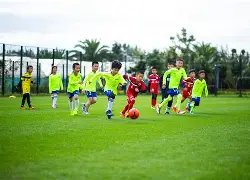 越南电竞力,争跻身国际,舞台,AG捕鱼王在线,AG捕鱼官网攻略,AG官网直营捕鱼,AG捕鱼王在线网址