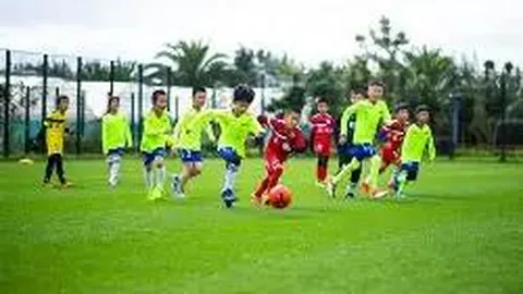 明星网红纳税之道与监管强化分析