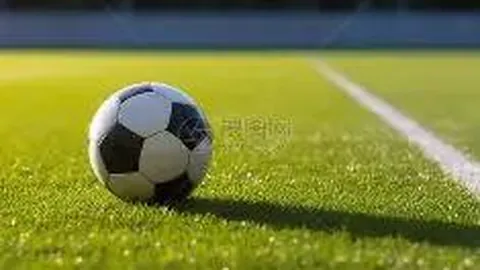 新浪明星排行榜 第10期