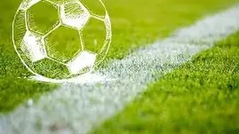 2025河北县域儿童篮球赛事完美落幕