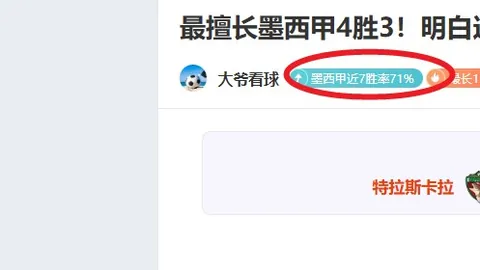 墨西哥网球公开赛：福基纳成功晋级半决赛