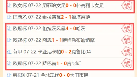 法国国家队义赛马赛现场AG游戏平台：齐达内助力灾民，足球力量闪耀欧陆烽火